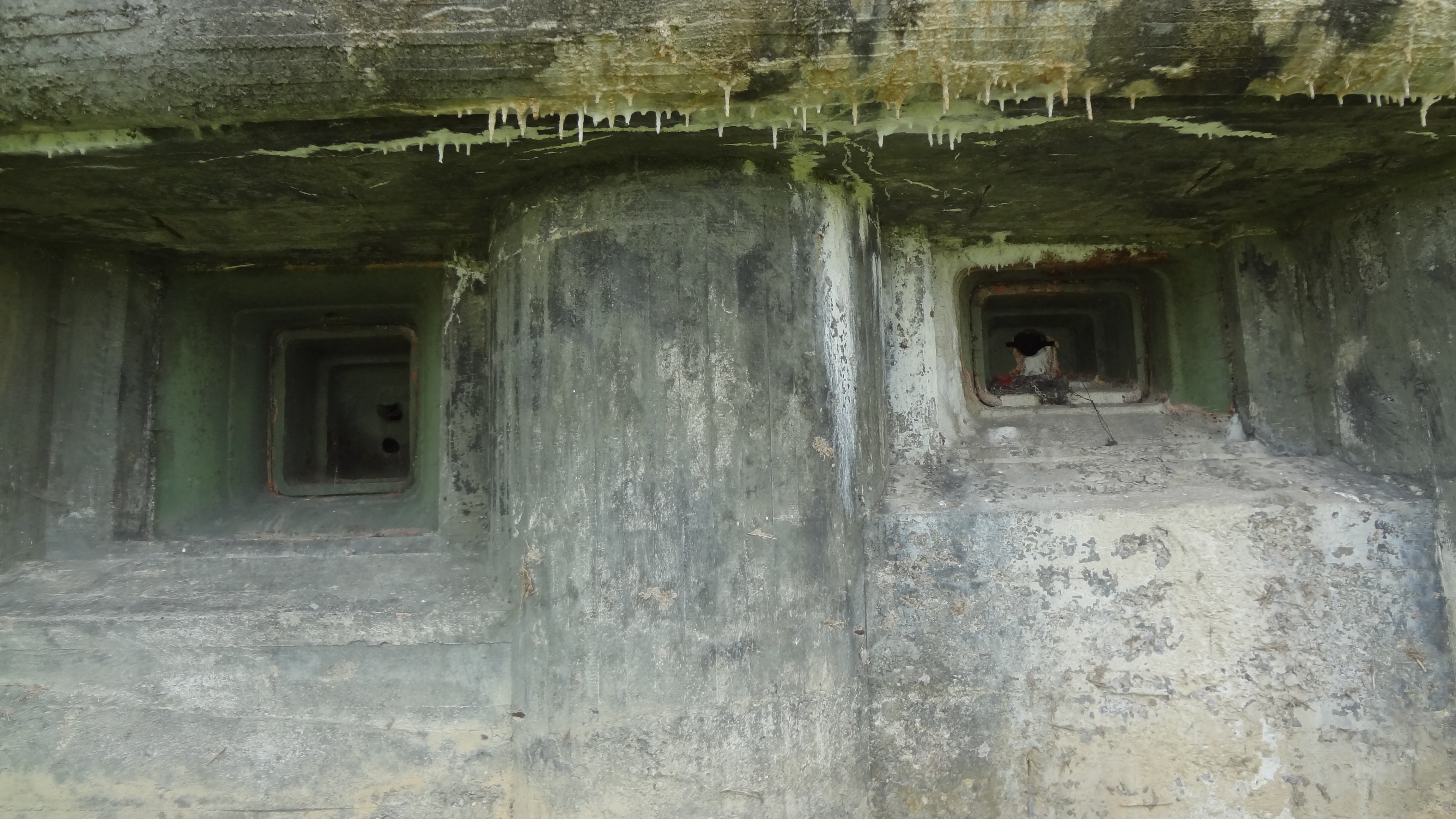 Bunker face
